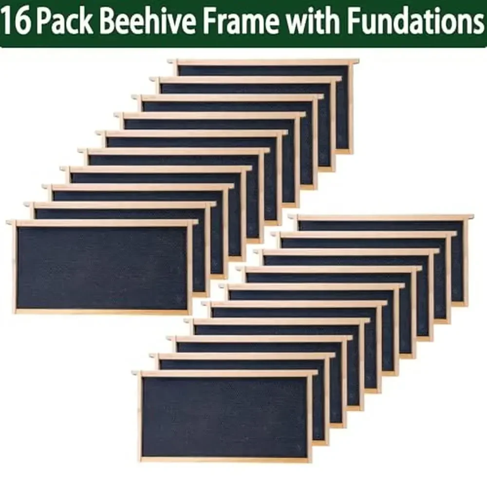 Ultimate Beekeeping Starter Kit with Ventilated Jacket