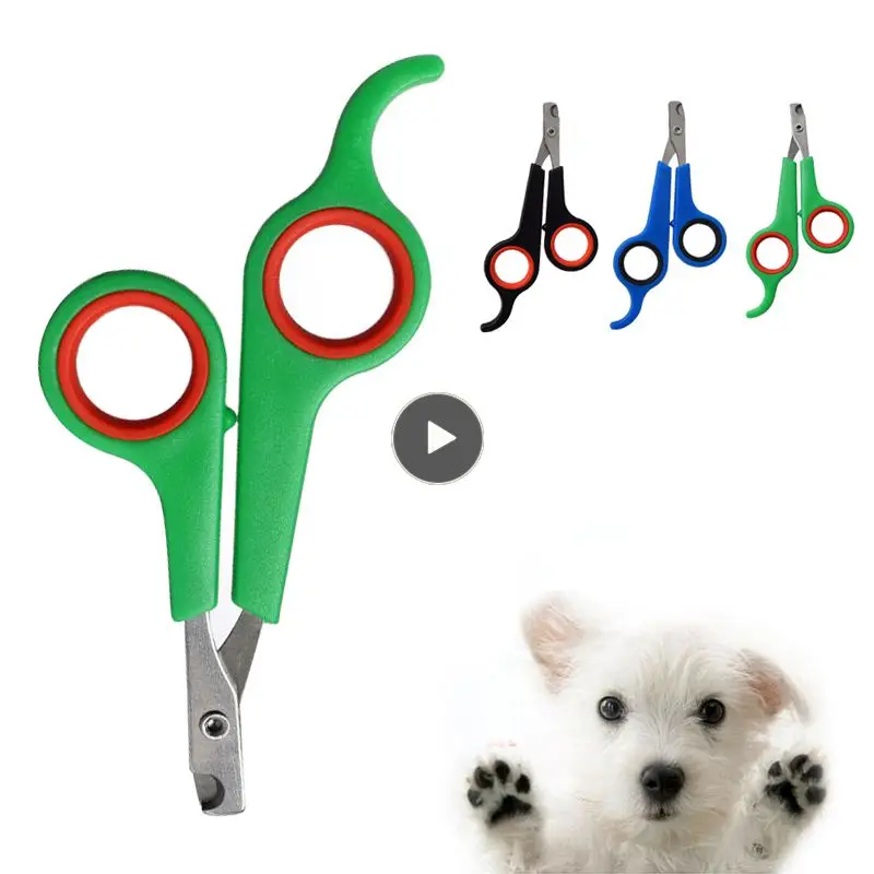 

High-quality Grooming Precise Trimming Safe And Effective Pet Nail Scissor Professional Tool Paw Cutter Ergonomic Design Durable