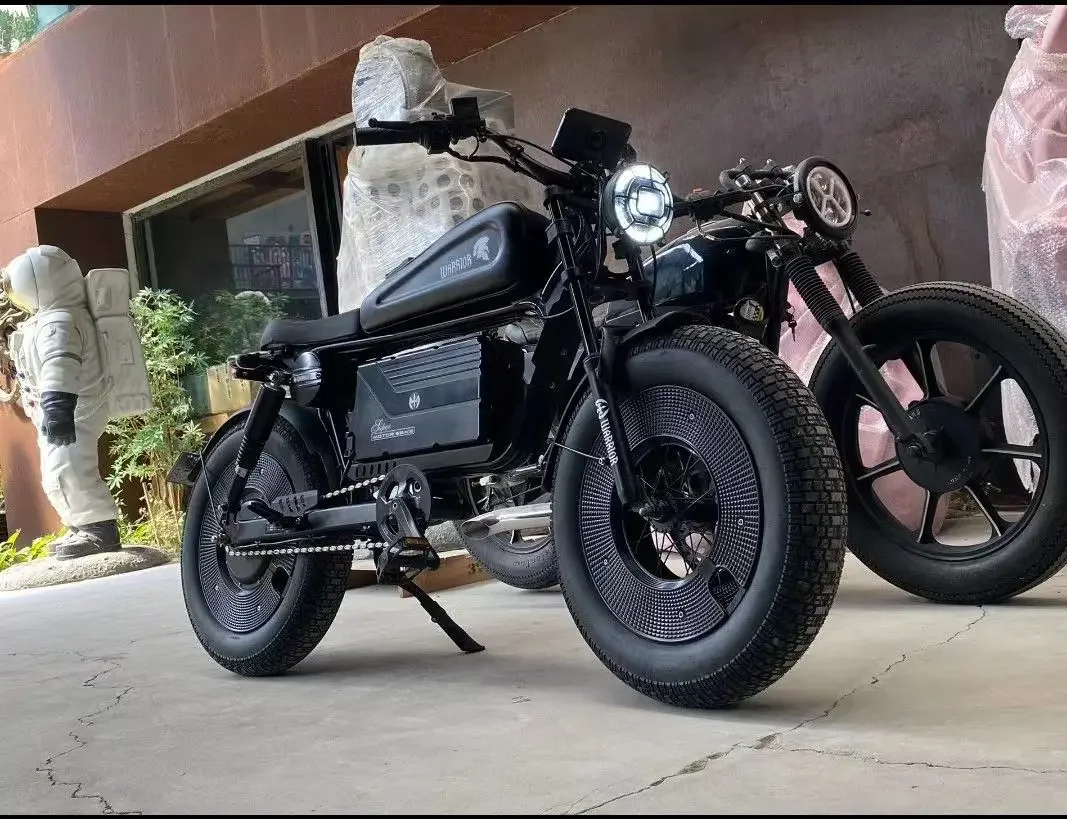 ブラックウォリアー-大人用電動自転車,20インチ,1500W, 48V