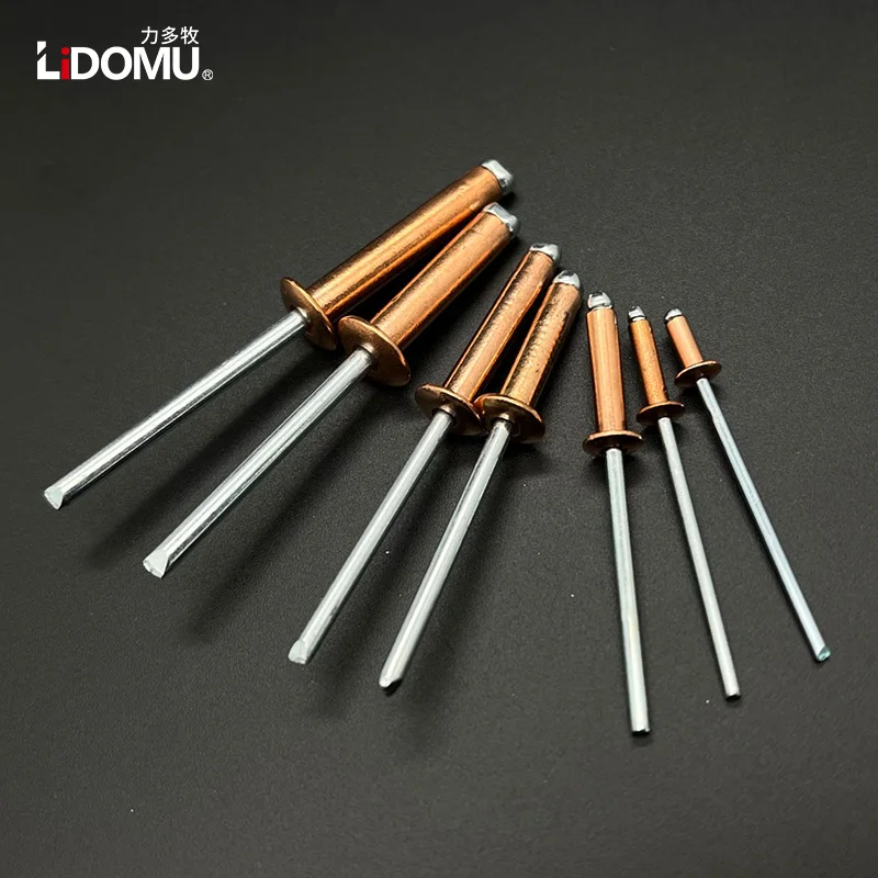 30/50pcs Copper Blind Rivet rivets and fasteners rivets and screws Dome Head Open Type Anticorrosive Bronze Brass Rivets