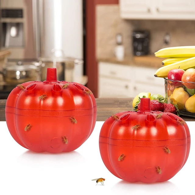 2Pcs Reusable Fruit Fly Traps Indoor Fly Trap for Home Kitchen