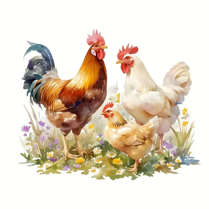 Cartoon Chicken Wall Decal-Removable & PVC Sticker for Living Room, Bedroom, Corners, Fridge & Washing Machine