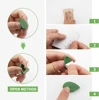 10-50Pcs Plant Climbing Wall Fixture Clips Acrylic Sticker Self-Adhesive Hook Plant Vine Traction Holder Indoor Outdoor Decor 2