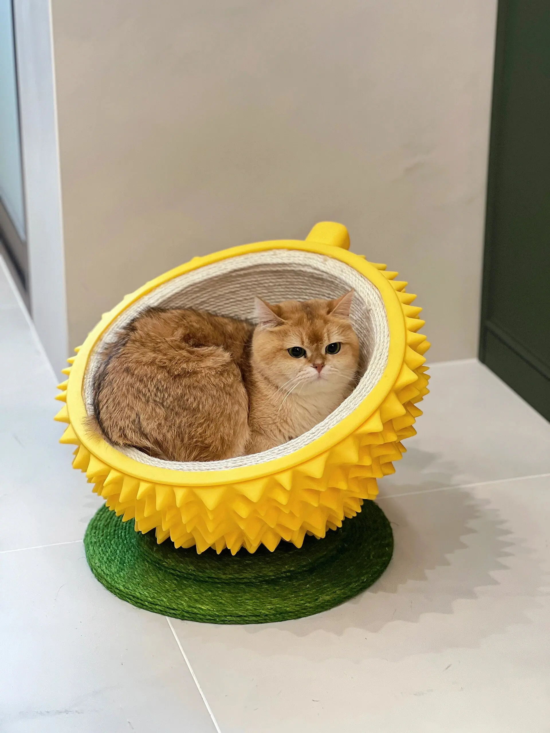 Durian Cat Nest Con Scratch Board Balcone Divano Non Coprente Villa Di Fascia Alta Forniture Per Animali Domestici