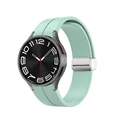 Light green-silver