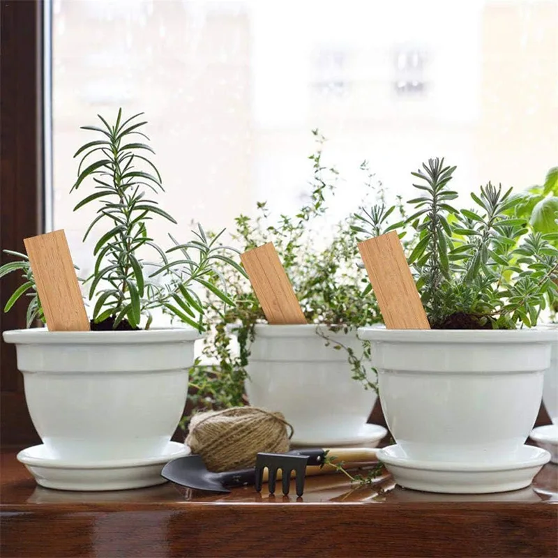 Bamboo Plant Labels Set - Eco-Friendly Garden Markers for Vegetables, Flowers, and Herbs (30-Pack)