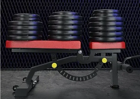 Gym Equipment Black Weight Lifting Adjustable Dumbbell Sit Up Bench