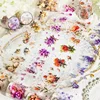 1Roll 2M DIY material decoration loop sticker Supplies Adhesives Scrapbook Cut 55mm*2M Tape Flower Field PET Handbook 2