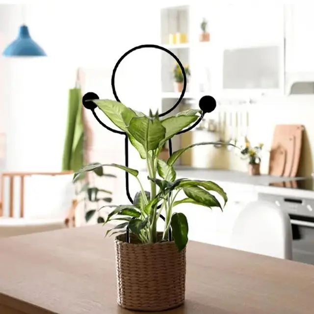 4Pc Gyakorlati Rohanásgátló Növényi Tartó Állvány Fém Időjárási Ellenállás Virág Függőleges Mászás Tét - Image 4