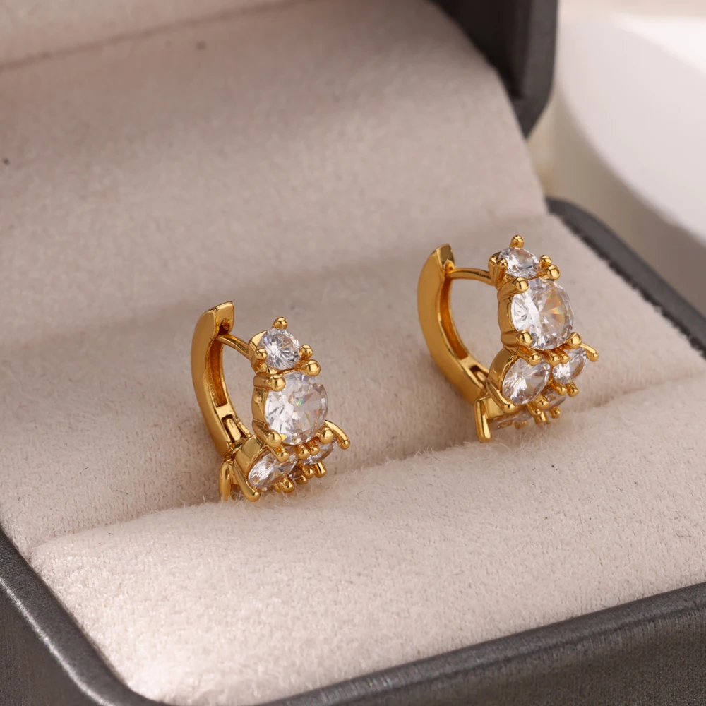 Zircon Round Stud Earrings Stainless Steel