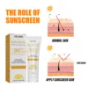 EELHOE Sun Cream Spf 90 UV Protection Outdoor Anti Oxidant Moisturizing Hydration Oil Control Skin Care Face Sun Block Cream 40g 4