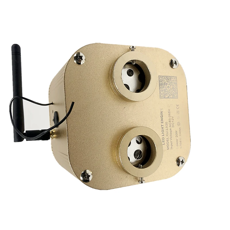Optic Lighting Smart APP 20W Twinkle Fiber Light engine RF control Cable Starry Effect Ceiling Double Heads Lights LED lamp