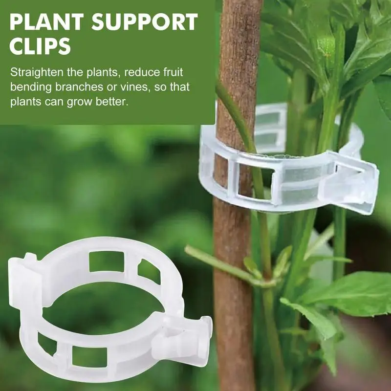 

Tomato Clips 50Pcs Plastic Vine Hold Clip Buckle Hook Support Connects Reusable Holder Gardening Tomatoes For Support Plant Clip