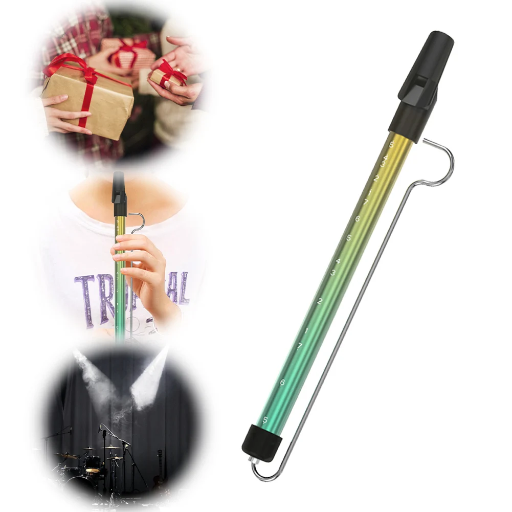 Slide Whistle Instrument with Steel Sliding Rod Slide Whistle Toy Yoyo Flute Piccolo Kazoo Musical Instrument Toy for Children