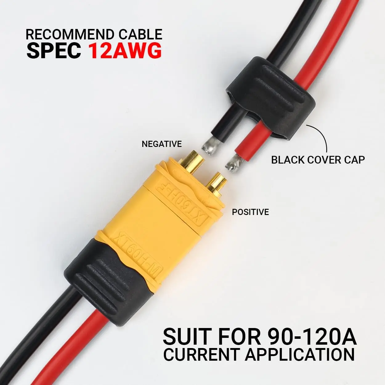 Détail des connecteurs de batterie RC mâles et femelles, un choix pratique pour le modélisme.