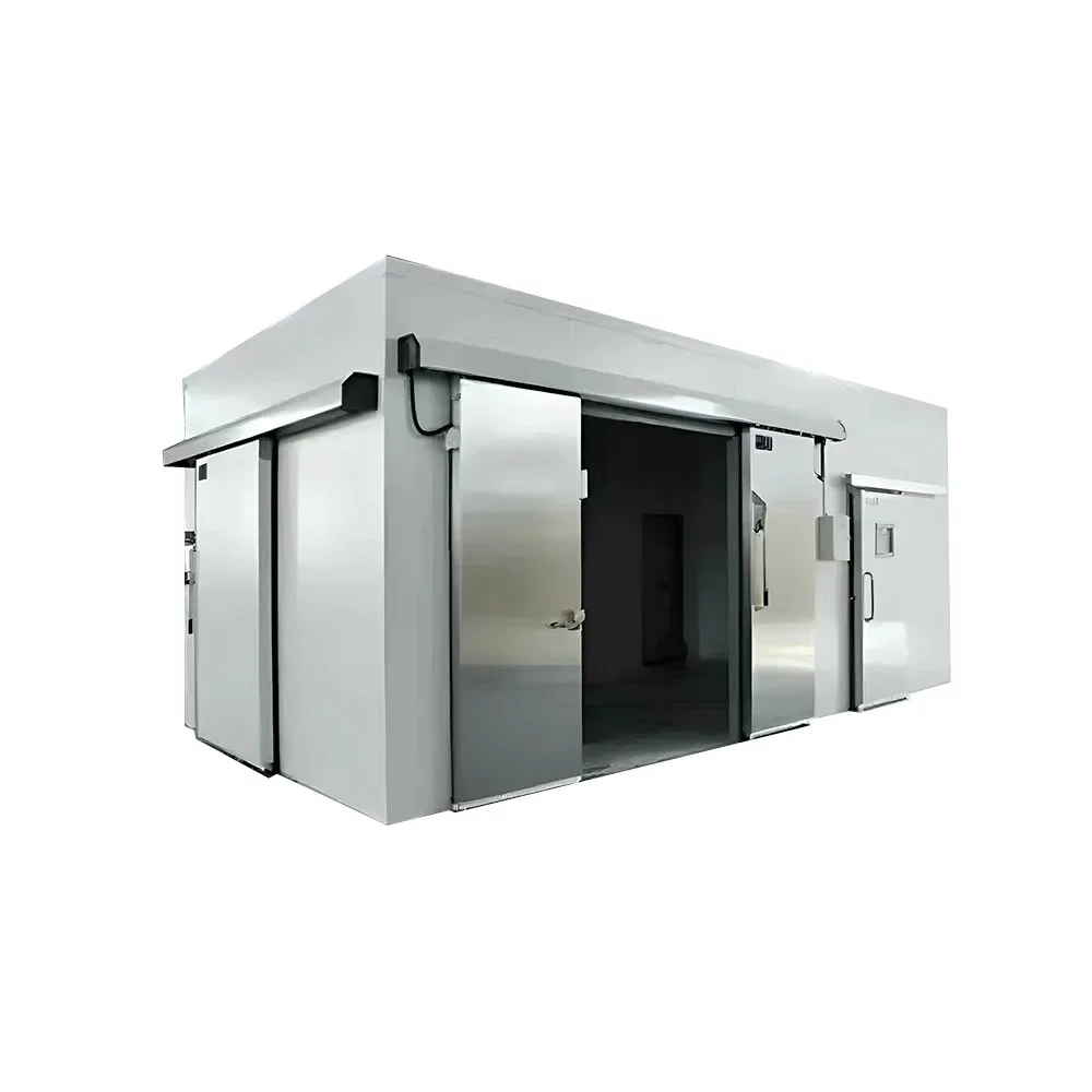 Low Noise Low Temperature Small Cold Room Refrigeration unit Cold Storage Room for Fish Manufacturers