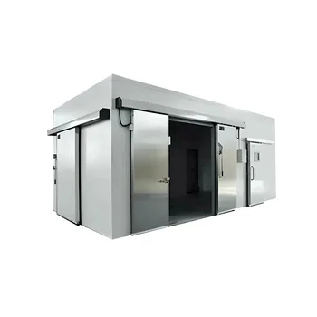 Low Noise Low Temperature Small Cold Room Refrigeration unit Cold Storage Room for Fish Manufacturers