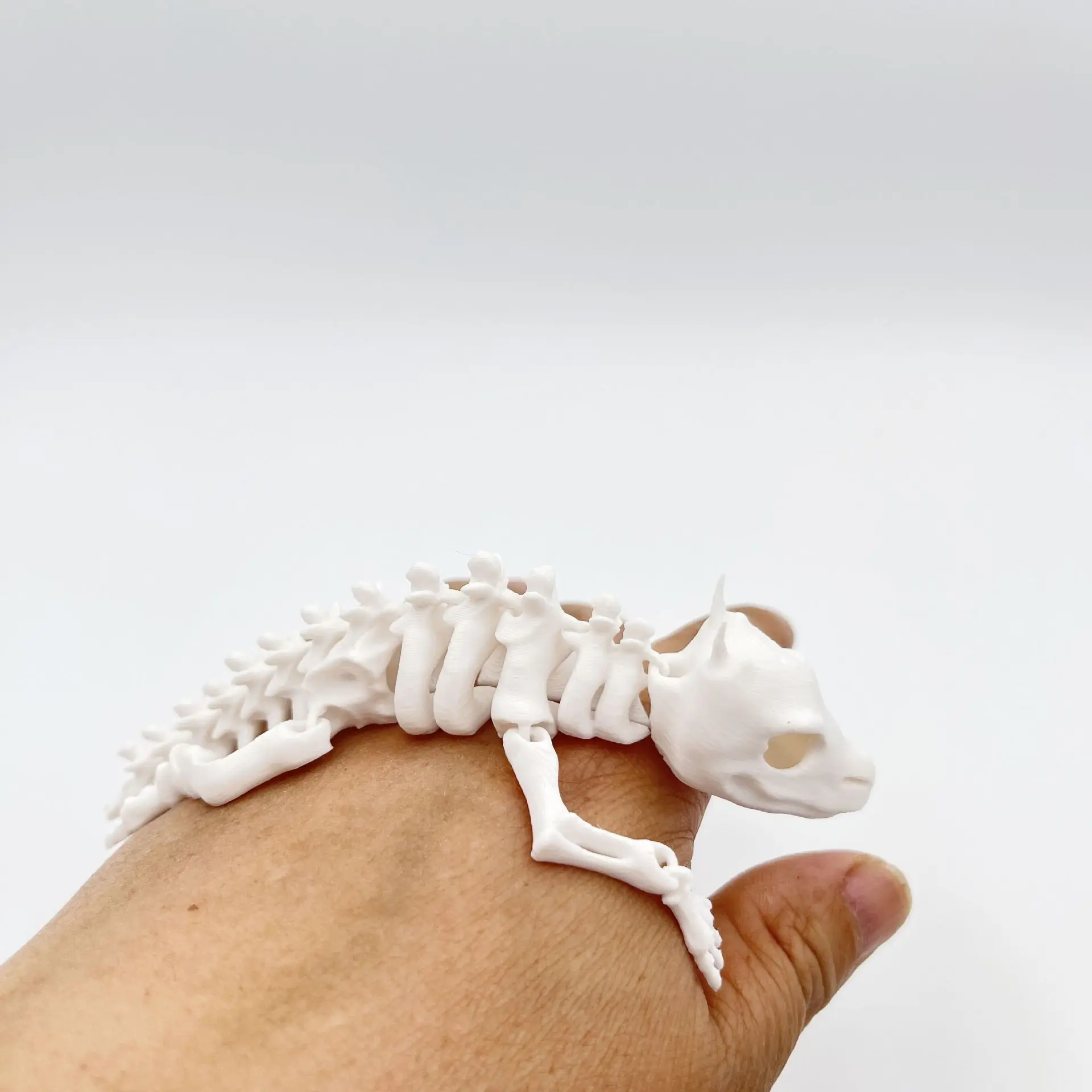 S11f80d8b78e4418981932e3f40b466feb