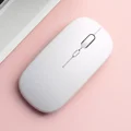 Matte-White