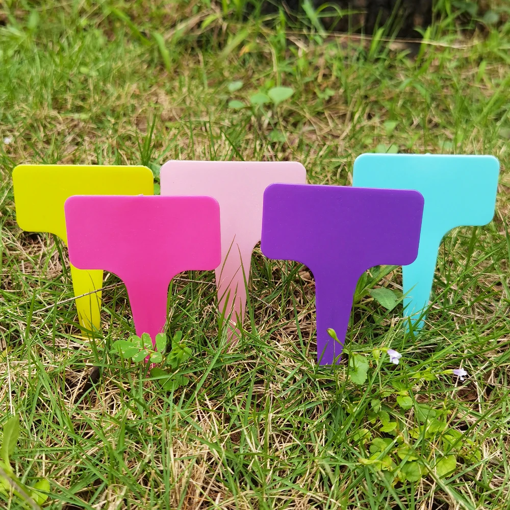 200 Pièces étiquettes De Plantes En Forme De T, Marqueurs