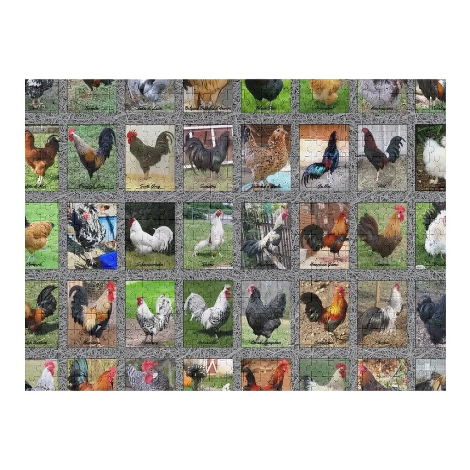 Tastes Like Chicken Jigsaw Puzzle Personalized Toy Wood Name Puzzle chicken coop wood 61 2 x38 2 x43 3