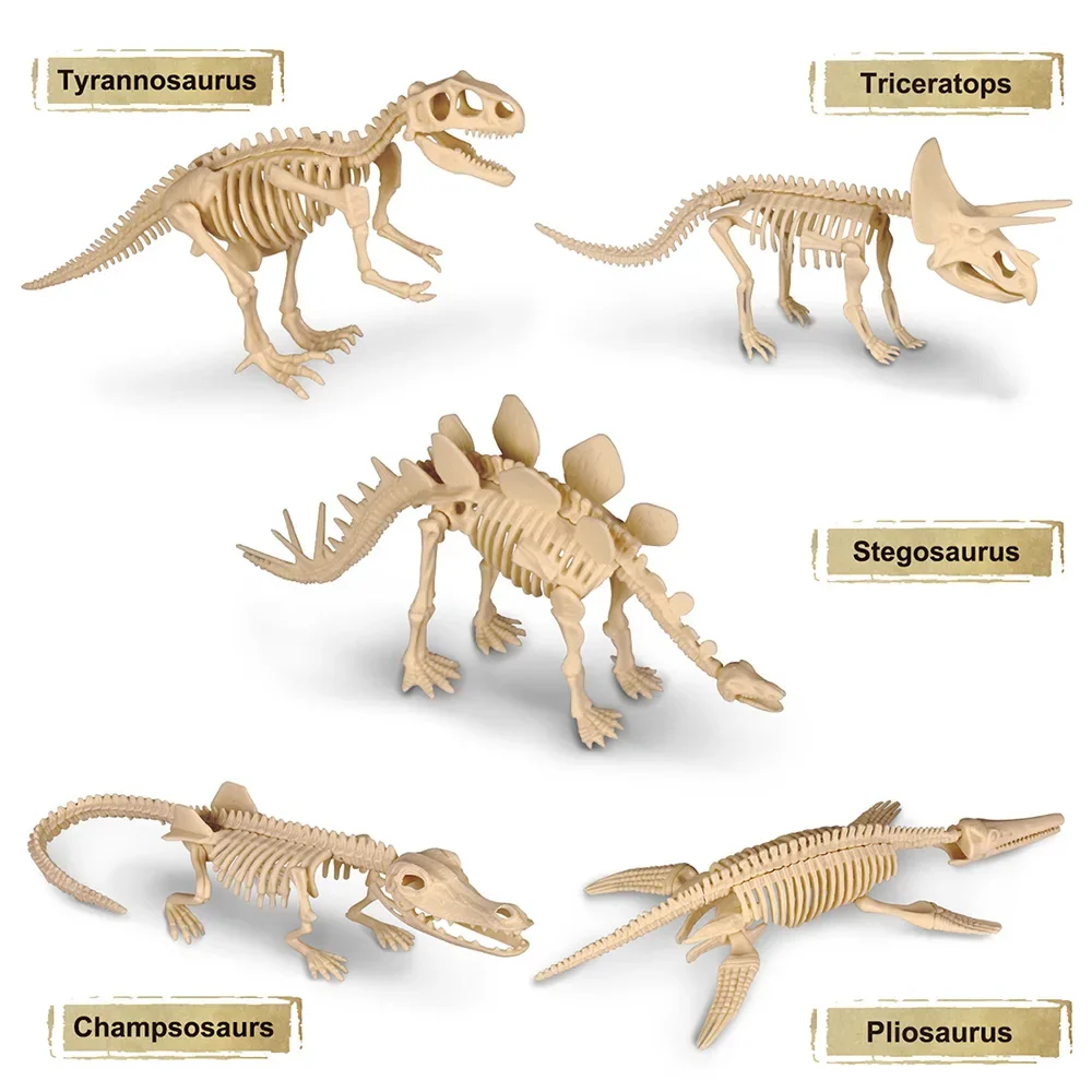 Dinosaur Fossil Excavation Kit Toys Jurassic Animal Skeleton Model Kid Digging Archaeological Education Game Children Boy Gift 4