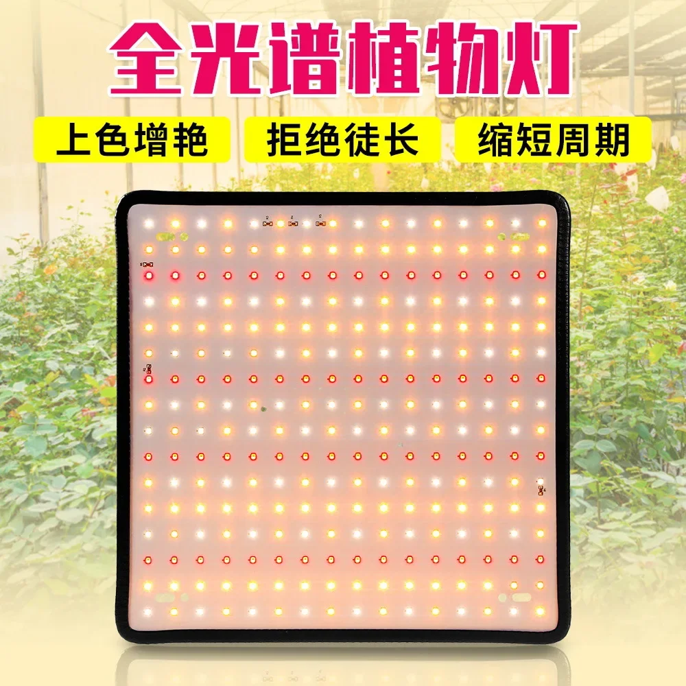Slide image 7a0ab4c16cdd406c89dde6a2c71692d4
