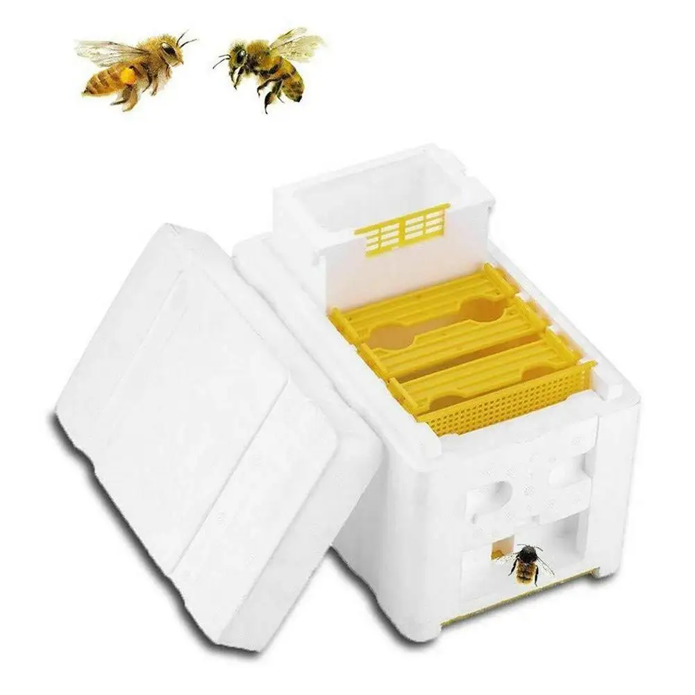 Beekeeping Tools Bee Breeding Box Beekeeping King Box Pollinator Beekeeping Pollination Box Foam Frames Equipment Kit Harvest Bee Hive For Garden
