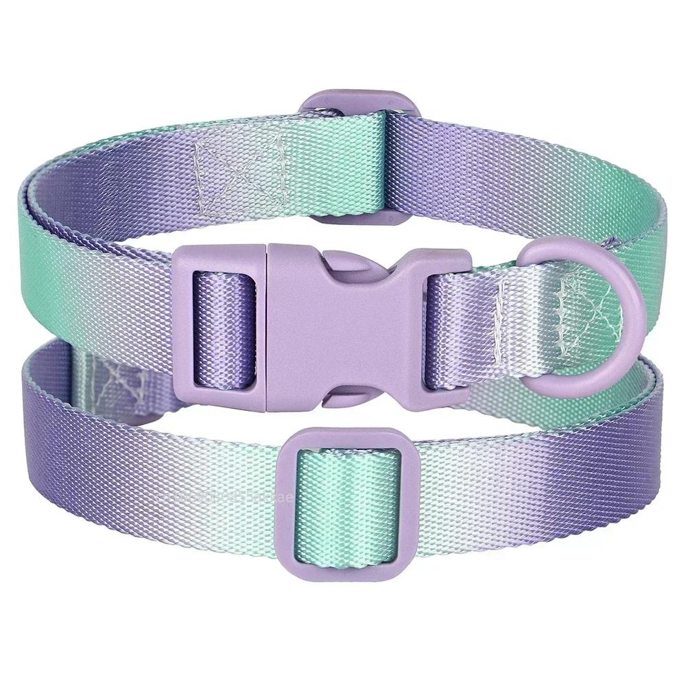 Gradient Nylon Dog Collar Adjustable 3
