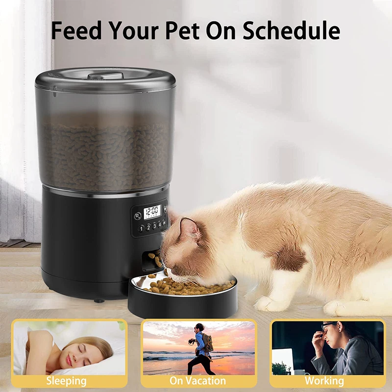 Does this Automatic Pet Feeder Really Work? 