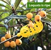 Farm Garden Picking DeviceGarden Tools Deep Basket Fruit Picker Head Convenient Fruit Catcher Apple Peach Picking GardeningTools 4
