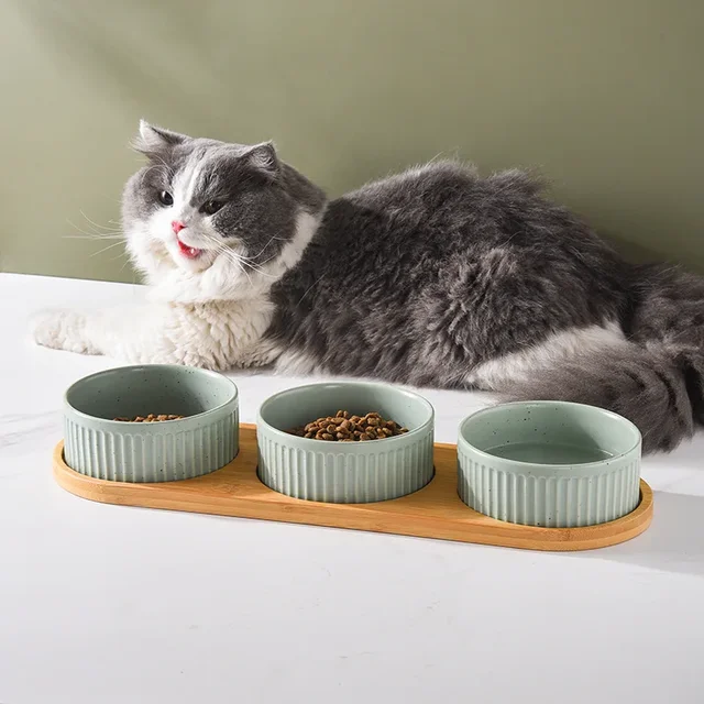 850ml Dogs Ceramic Bowl Double Triple Cat Food Water Bowls with Wooden Pallets Nordic Pet Drinking Eating Feeding Feeders 3