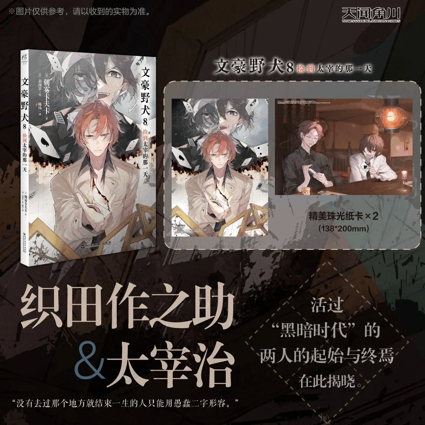 Bungo Stray Dogs 10th Anniversary Chinese Edition: Vol.1-8 Novel Set by Asagiri Kafuka