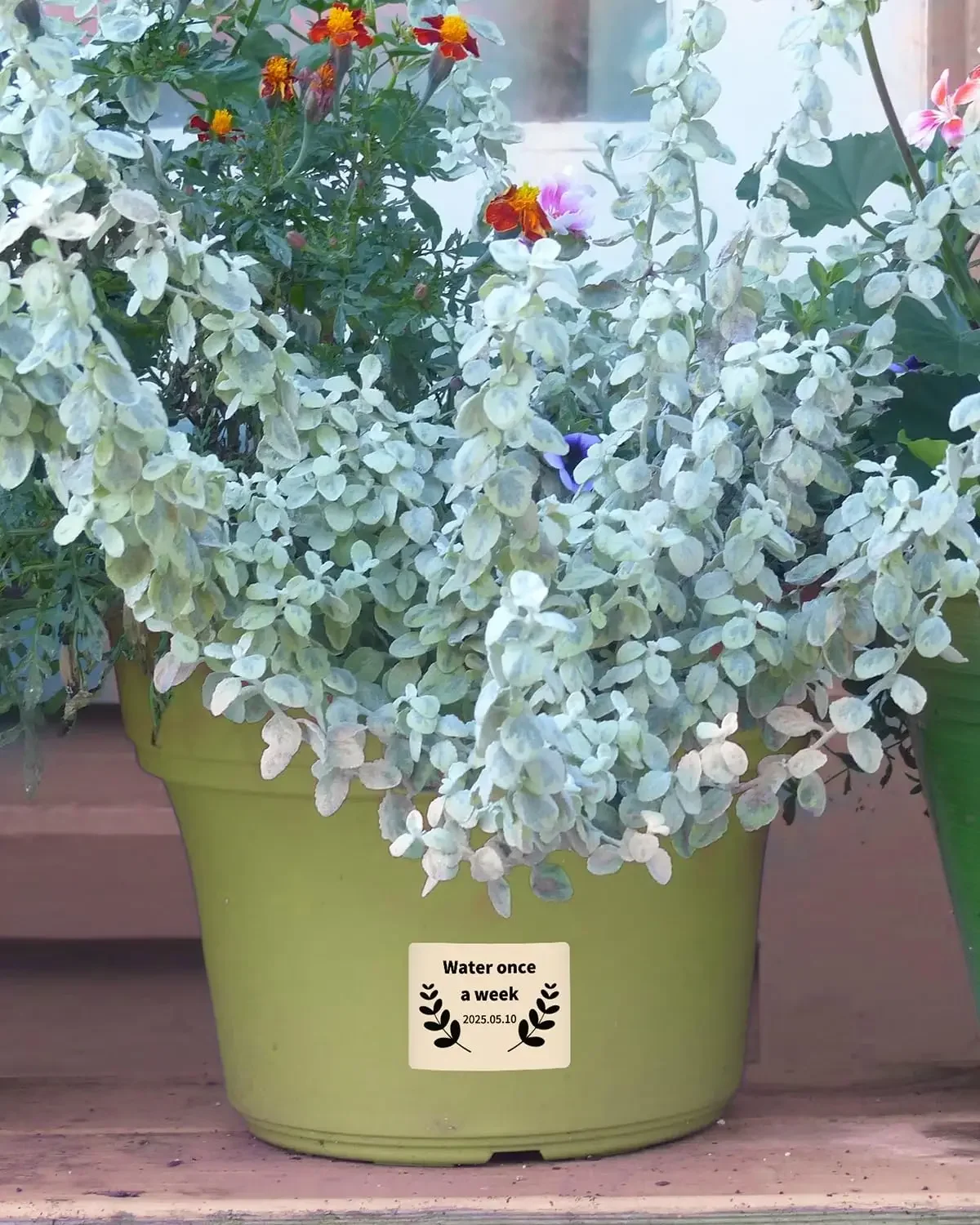 M110/M110S/M120 Sticker Labels- 1.57"x1.18"(40x30mm) Black Khaki and Blue Label for Small Business Home Office 230 Labels/Roll