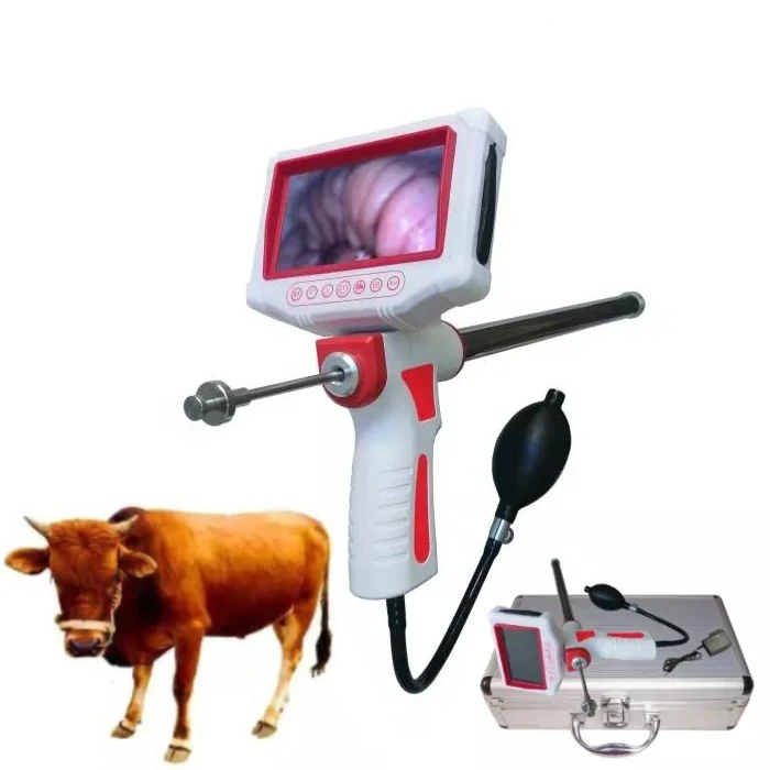 Veterinary Instrument Portable Cattle Cow Artificial Insemination Gun with    Device artificial fortune tree plant with pot 85 cm green