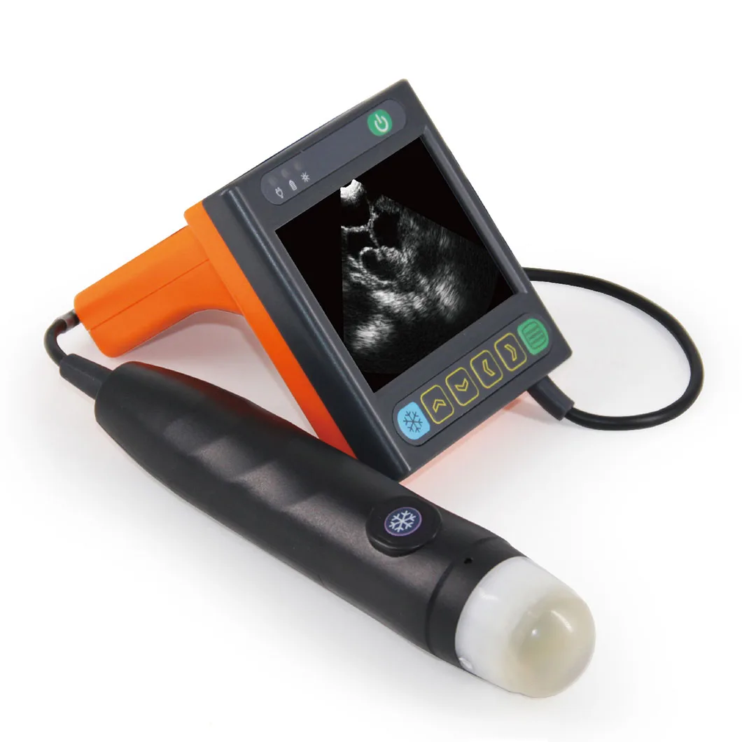 

Light Weight Long Time Battery Work Wrist Pig Sheep Veterinary Ultrasound Machine for Farm
