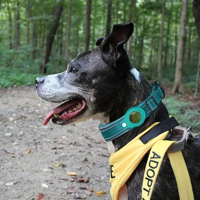 Coleira de cão acolchoada impermeável, anti-perdida com suporte AirTag, GPS Tracker, estojo protetor, coleira ajustável para cães grandes 3