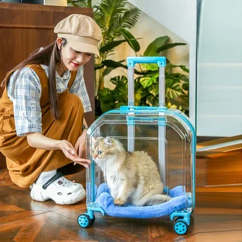 Portable Out Pet Trolley Case Large Capacity Cat Carrier Transparent Breathable Cat Backpack Pet Products Double Zipper Design