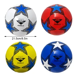 Professional Football Size 5 Soccer Balls Official Seamless Goal Team Training Football Sports League Match Training Balls