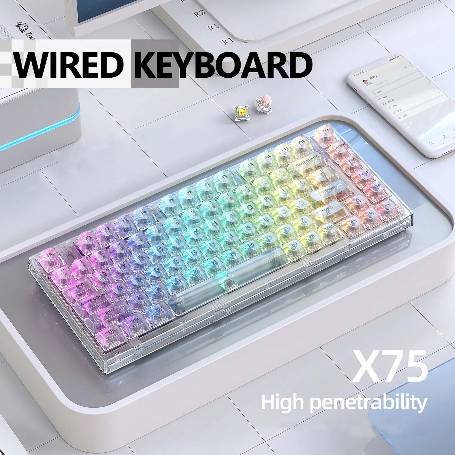 

Transparent Mechanical Keyboard with RGB Backlit 82 Keys White HOT Swappable Mechancial Switch Wired Keyboard for Gamer