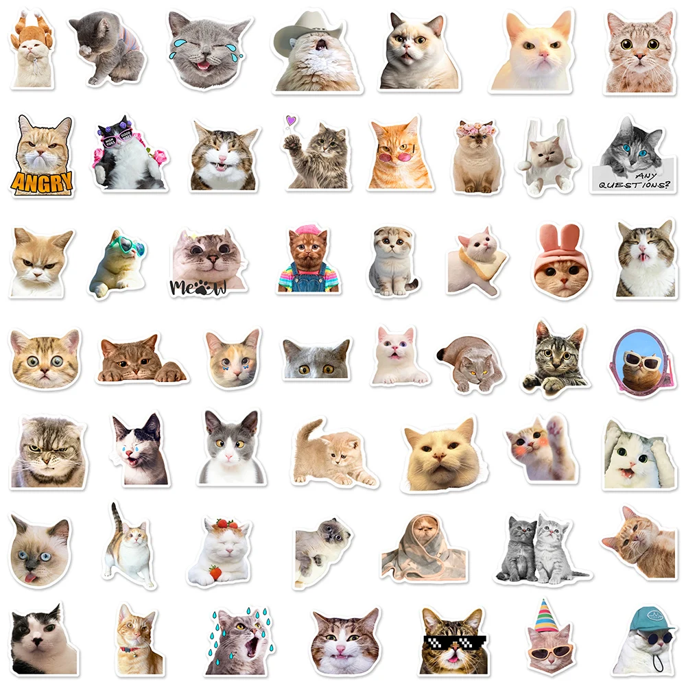 10/30/50pcs 귀여운 동물 고양이 재미 있은 새끼 고양이 MEME 낙서 스티커 스케이트 보드 기타 스크랩북 노트북 장식 스티커 데칼