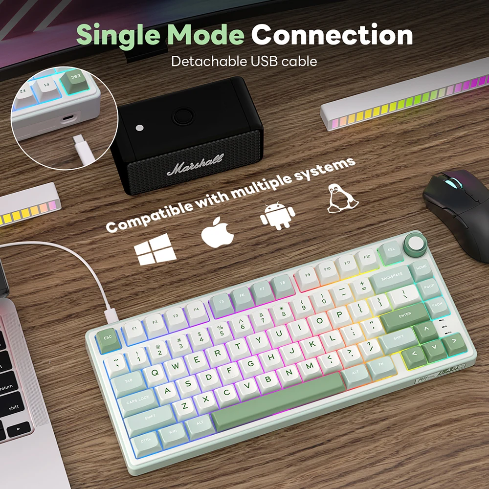teclado, MDA PBT Keycaps, 80 chaves, 80% com fio, RK R75