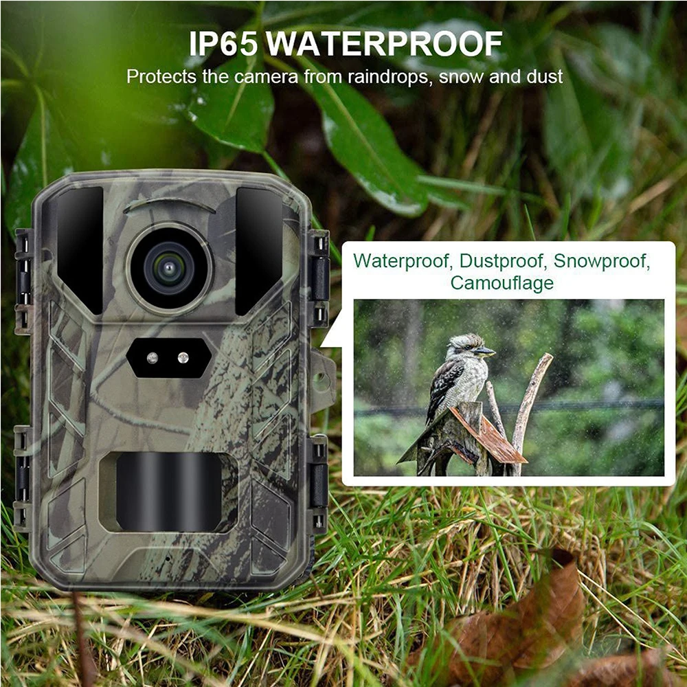 Câmera Mini800 Waterproof Hunting Trail, Câmera infravermelha ao ar livre Low Glow Artion, Gravador de vida selvagem, NightVision, Novo, 4K, 48MP