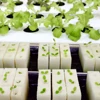 Hydroponic Sponge Planter Tool Square Seedling Sponge Garden Greenhouse Soilless Cultivation Small Bud Grow Water Retention Foam 6