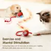 Super Deal Cat Interactive Ball Toy Automatic Rolling Ball with Tail Rechargeable Smart Pet Interactive Toy Intelligent Mouse 3