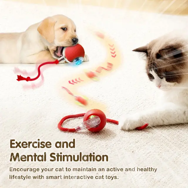 Super Deal Cat Interactive Ball Toy Automatic Rolling Ball with Tail Rechargeable Smart Pet Interactive Toy Intelligent Mouse 3