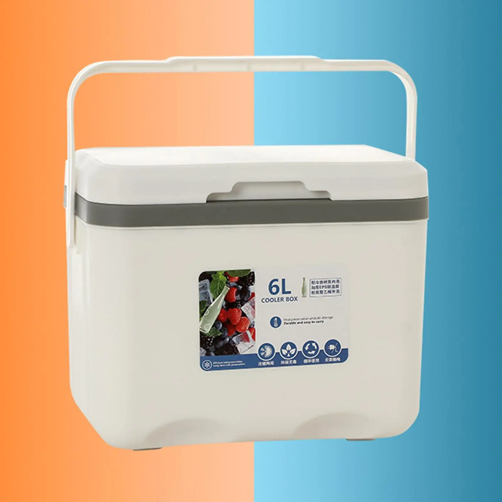 Cooler Box 6L Cold Storage Personal Portable with Handle Insulated Box Ice Chest Small for Stall Beach Camping Commercial Food