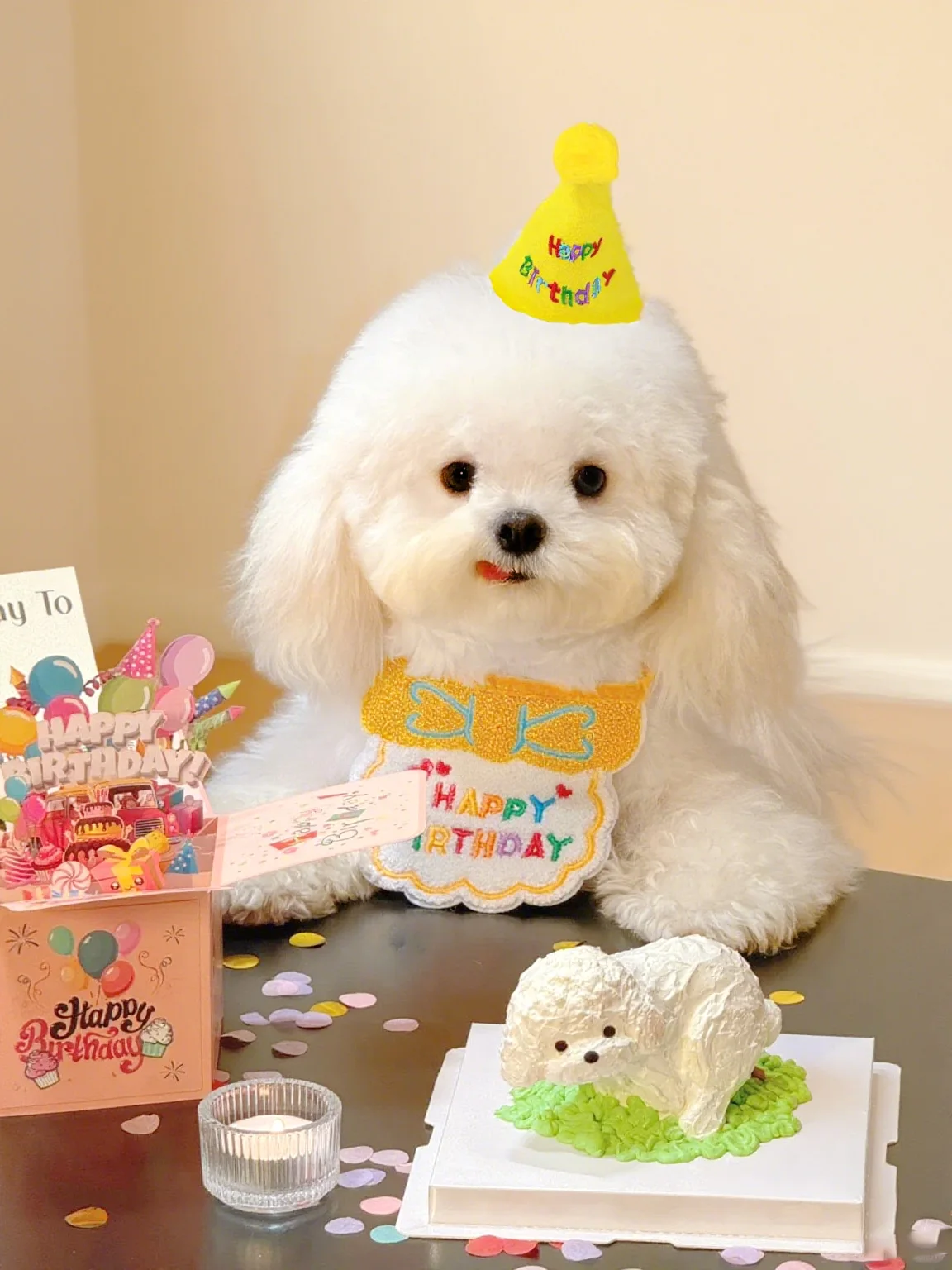 Cat Dog Birthday Bib and Party Hat Mini Doggy Cat Adjustable Bandana Scarf Pet Birthday Outfit Puppy Supplies Cat Dog Birthday Bib and Party Hat Mini Doggy Cat Adjustable Bandana Scarf Pet Birthday Outfit Puppy Supplies