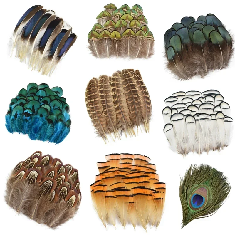 Natural Chicken Peacock Goose Pheasant Feather Small Dream Catcher Feathers for Crafts Handicraft Accessories Jewelry Decoration