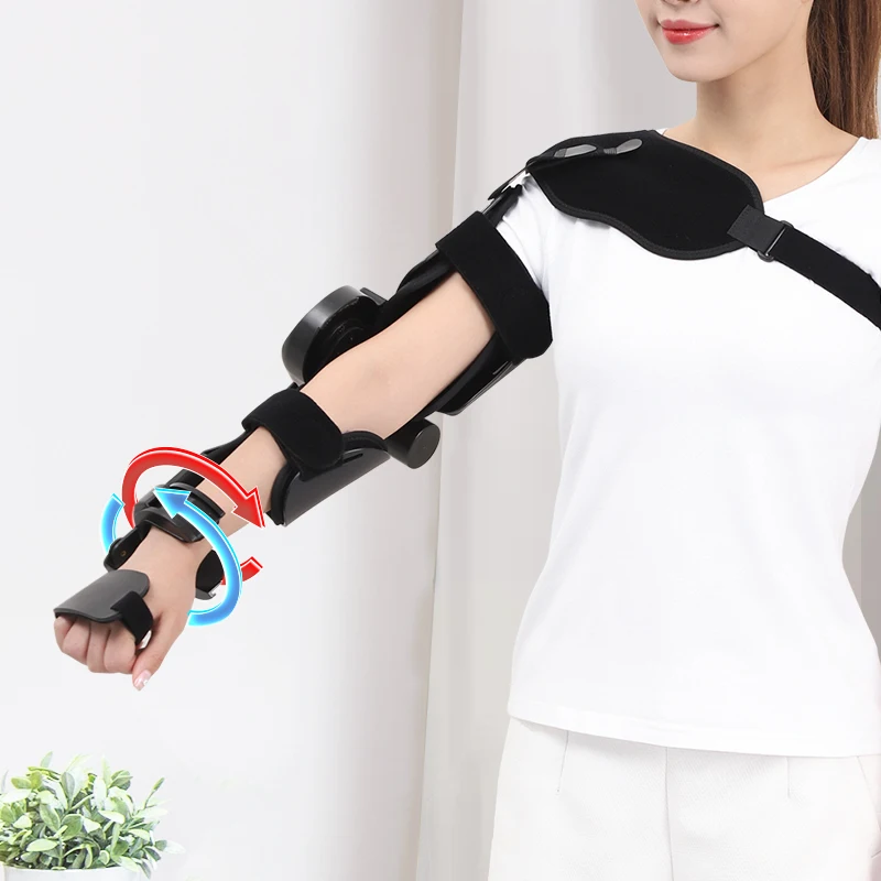 Extension And Flexion Of Arm